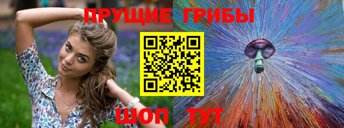 Псилоцибиновые грибы GOLDEN TEACHER  Вход с VPN  Джанкой 